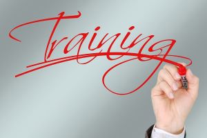FASD (Foetal Alcohol Spectrum Disorder) Training Day