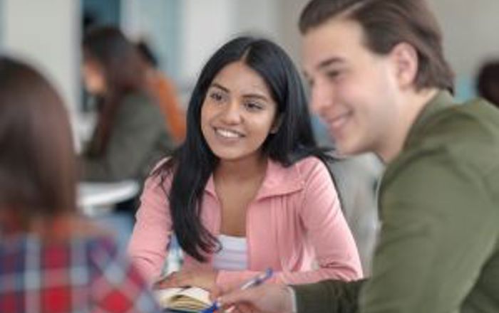 Adoptee co-production group updates